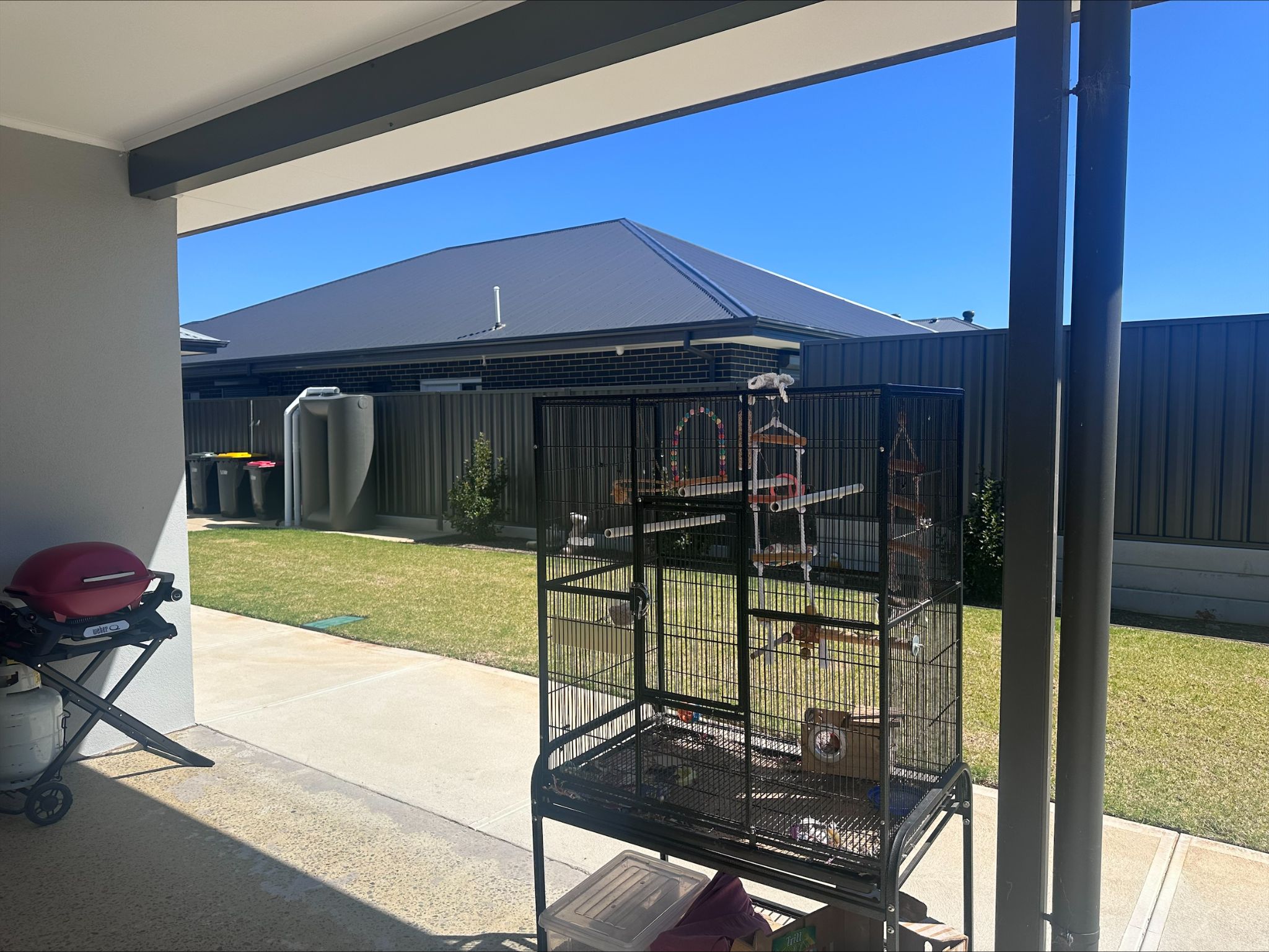 Grazier Backyard 4  1)
