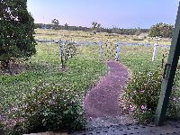 IMG 3172