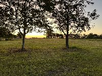 IMG 3174