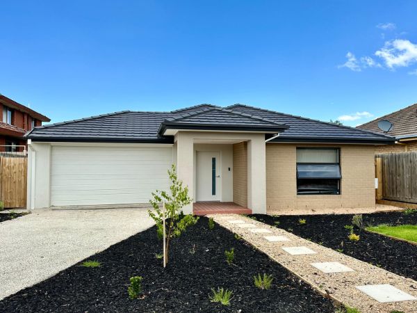 WhatsApp Image 2024 12-21 at 10.55.32