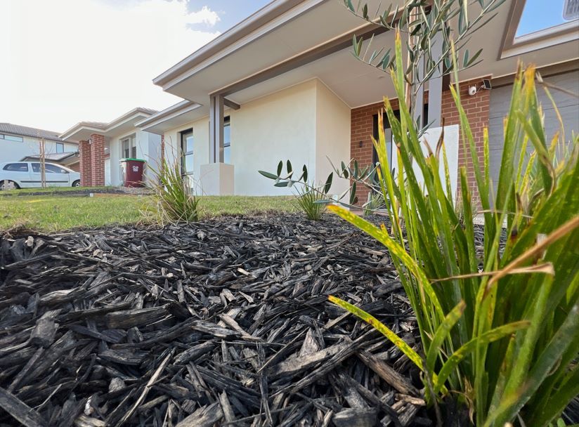 Screenshot 2024 09-01 214235