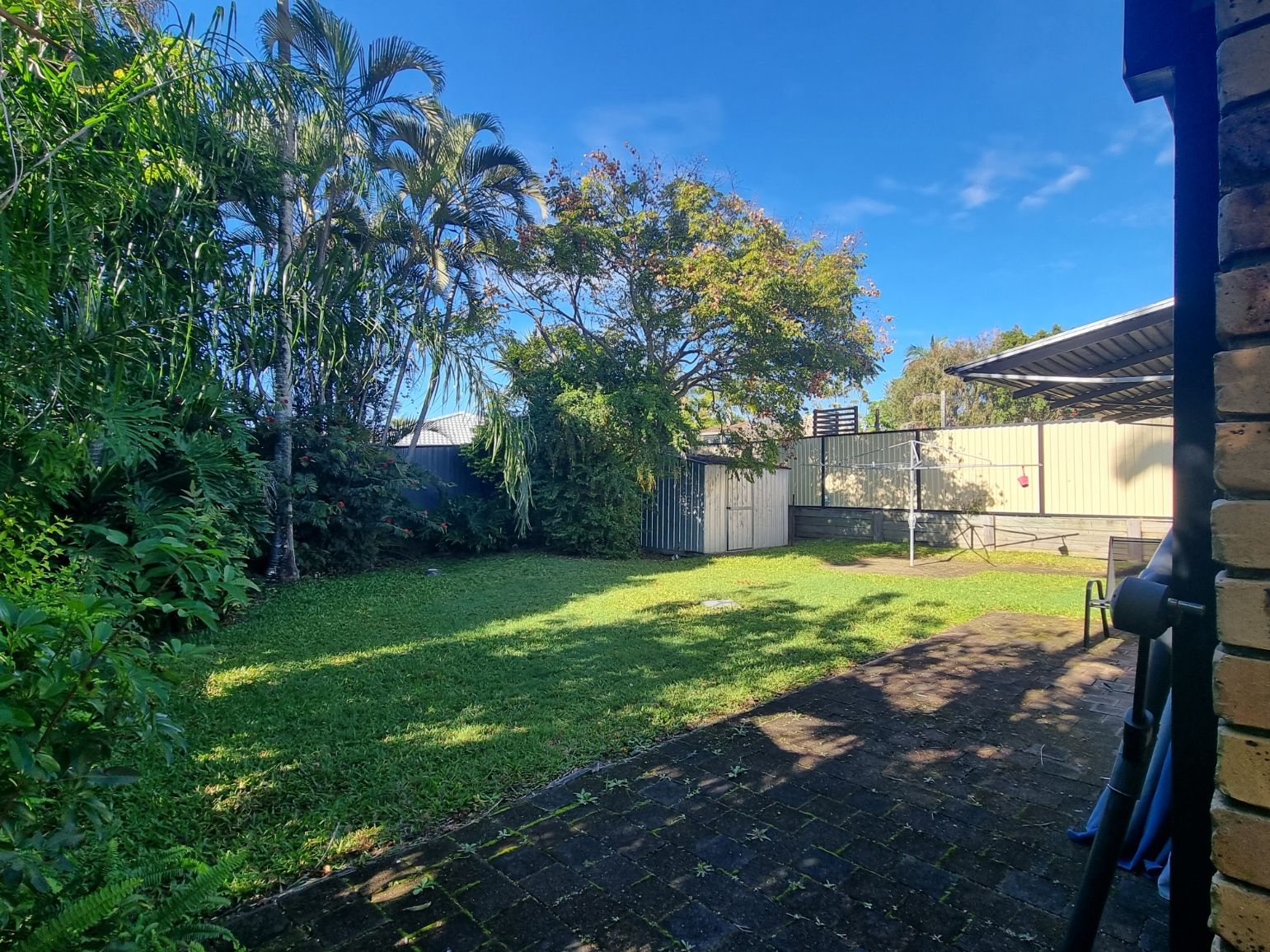 backyard 1
