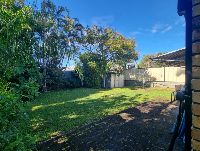 backyard 1