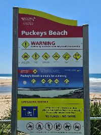 WhatsApp Image 2024 12-27 at 7.27.23 PM (1)