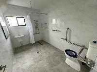 IMG 3684