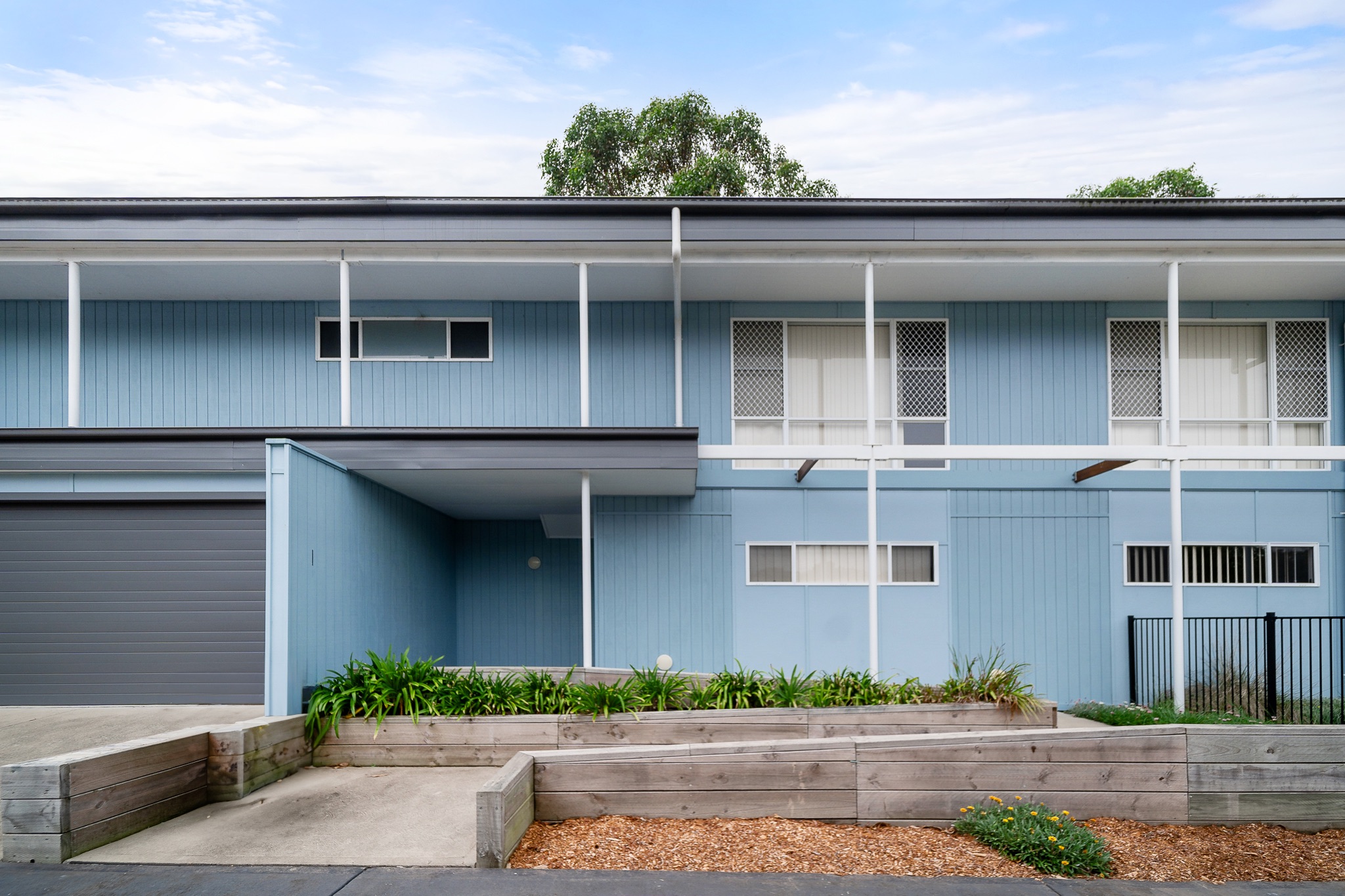 Care Metaz Day 2  92 of 142)