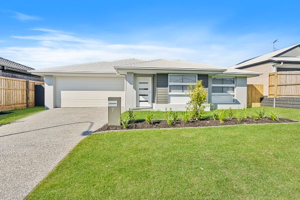 PROFESSIONAL PHOTO   LOW RES 1