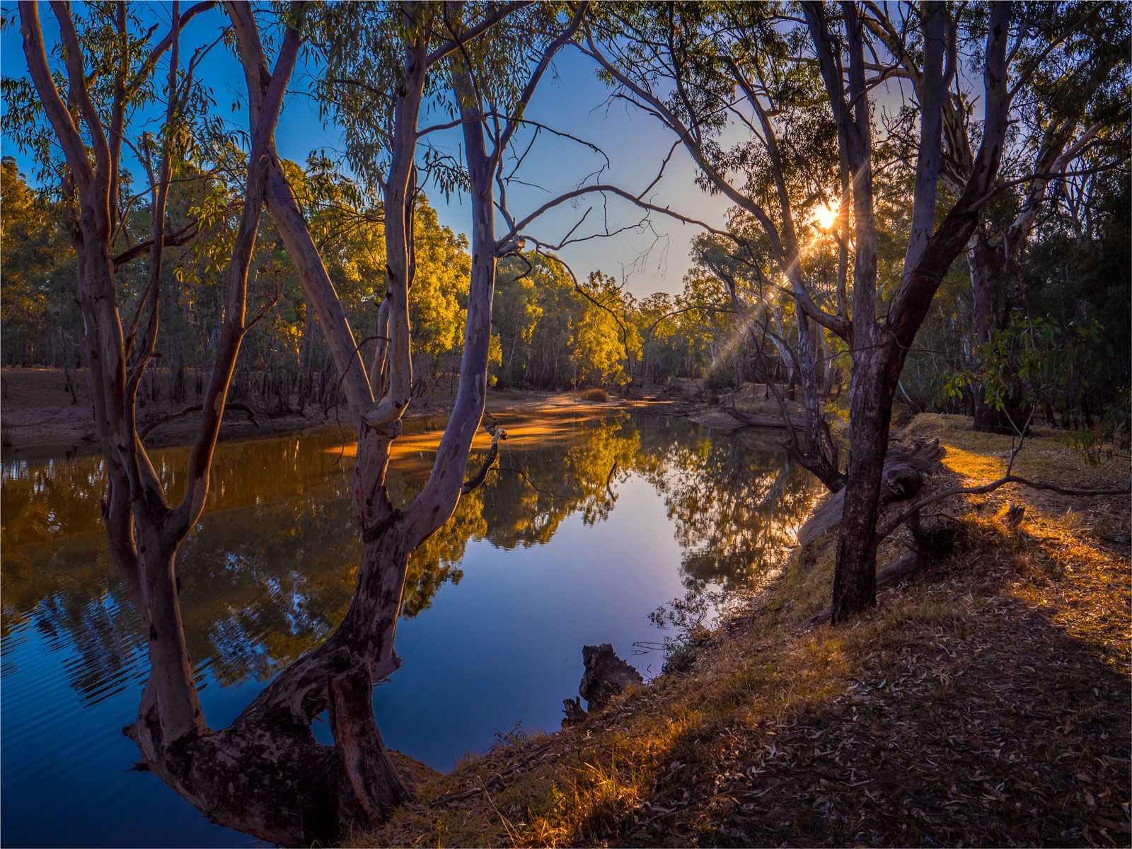 Murray River-Corowa-Australia-New-South-Wales