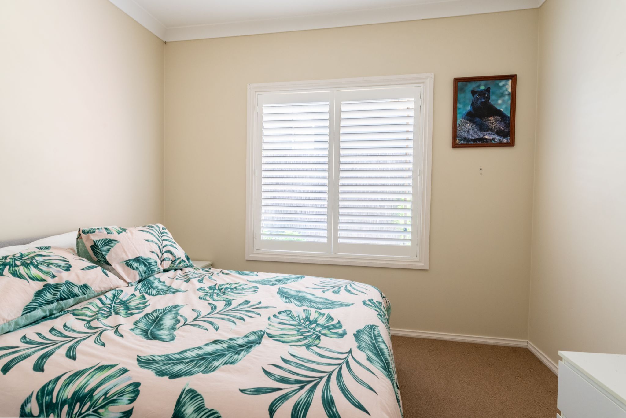 AA Jeremie Moroney_01