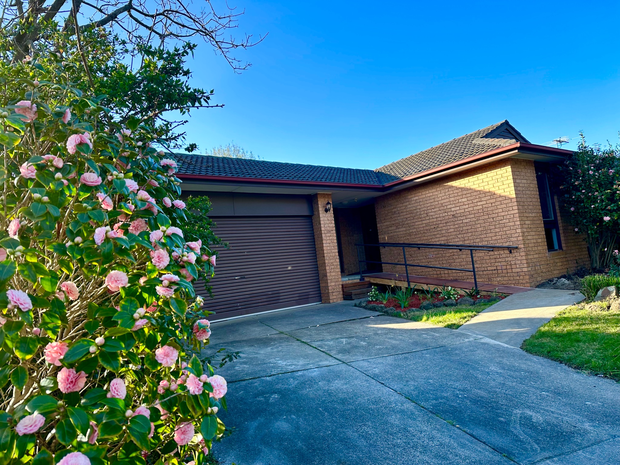 5641B0DA 83A8-458E-B38D-913616090C7D