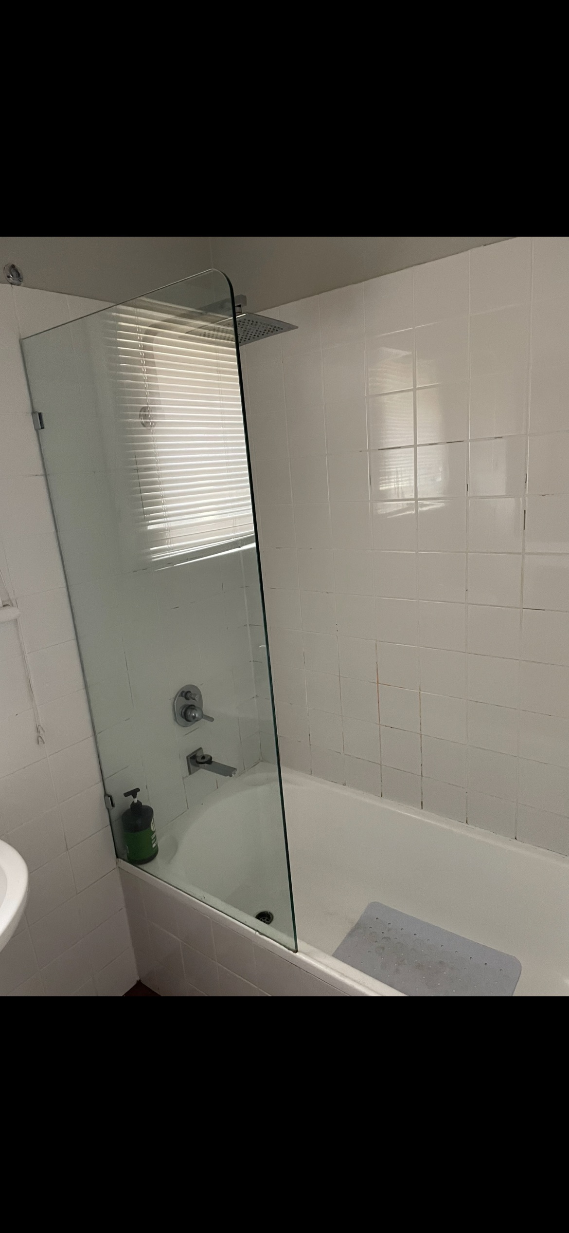 IMG 0441